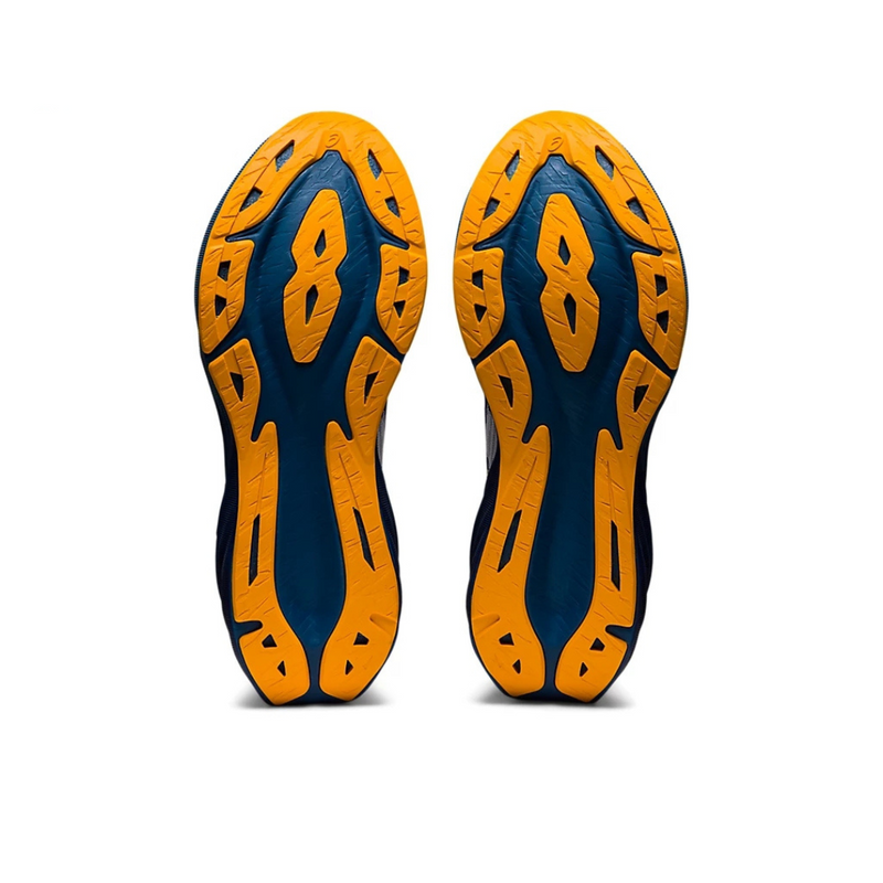 Asics NovaBlast 3 Gray Blue